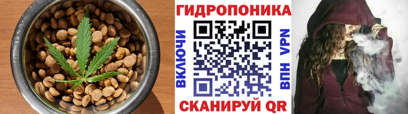 Печенье с ТГК конопля  где продают   блэк спрут как зайти  Катав-Ивановск 