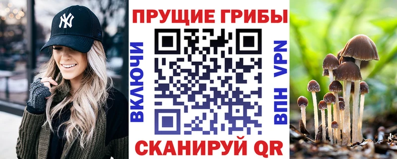 купить наркоту  Катав-Ивановск  omg рабочий сайт  Псилоцибиновые грибы GOLDEN TEACHER 